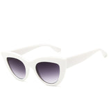 Xinfeite Sunglasses New Fashion High quality PC frame HD Resin lens UV400 Travel Outdoor Sun Glasses For Women Men X441